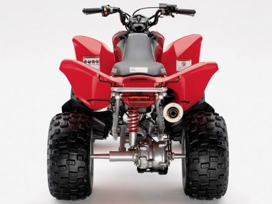 Фото квадроцикла Honda TRX250X